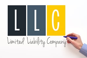 single member limited liability company