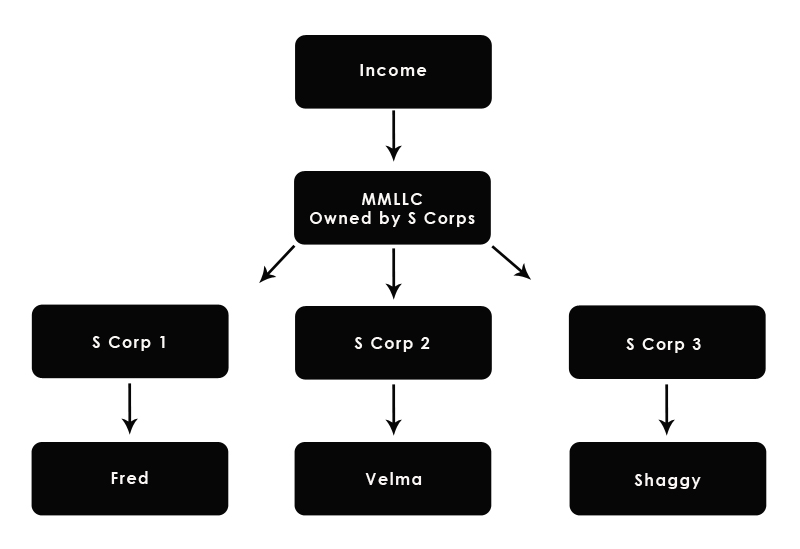 s corp multimember llc