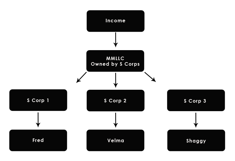 s corp multimember llc