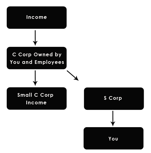 s corp esop