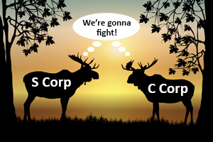 s corporation vs c corporation