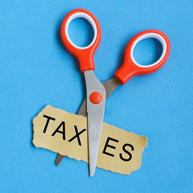 accountant for taxes