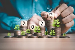 tax planner