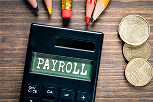 payroll plan review