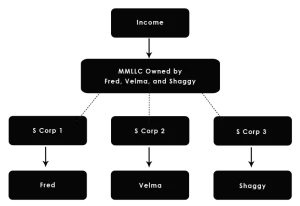 multi-entity structure Multi-Entity Business Structures